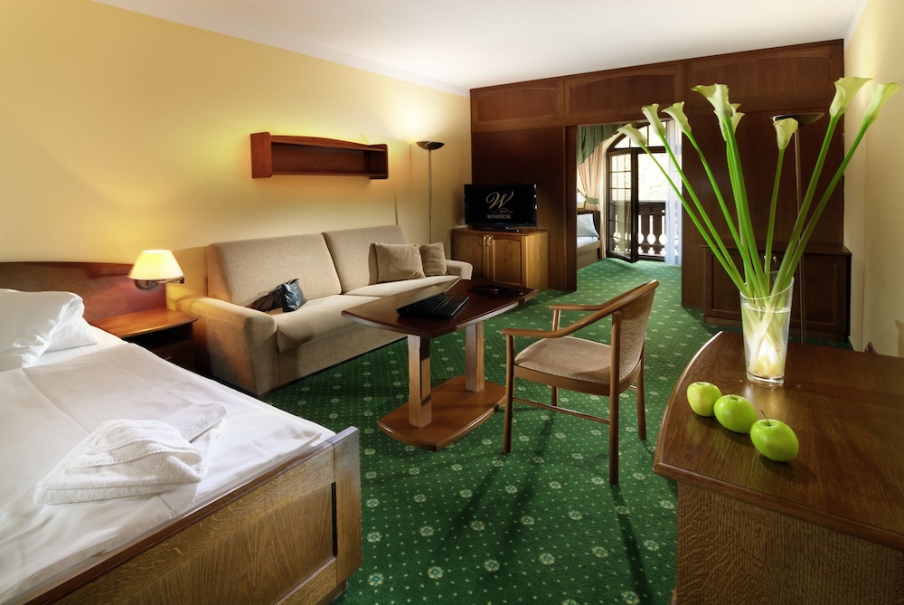 Wellness Hotel Windsor 41/63