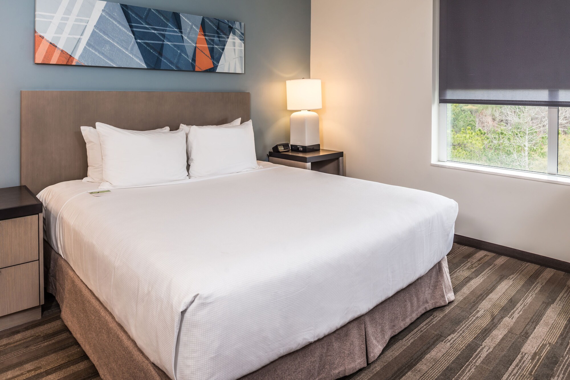 Room at Hyatt House Raleigh/Rdu/Brier Creek, RALEIGH - NC
