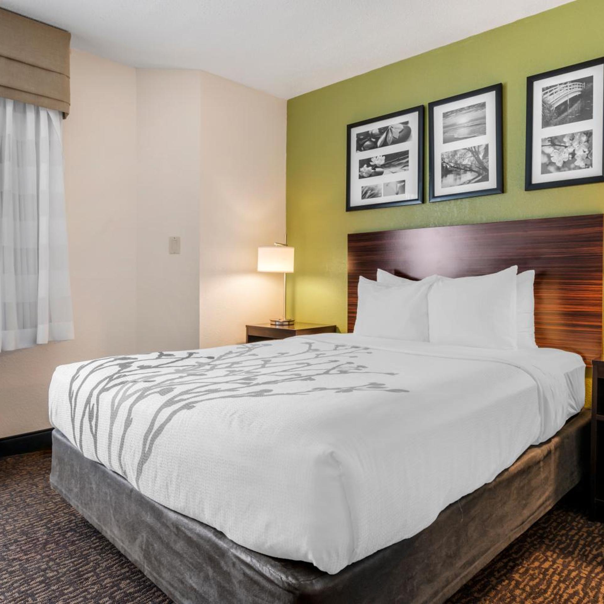 Efficiency, Queen Bed, Accessible