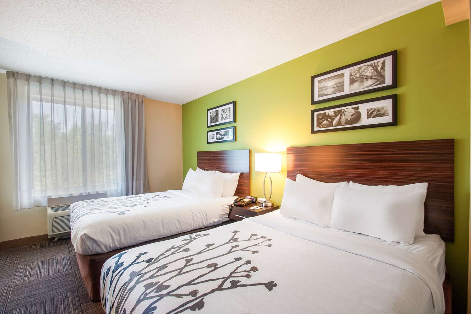 Room, 2 Double Beds