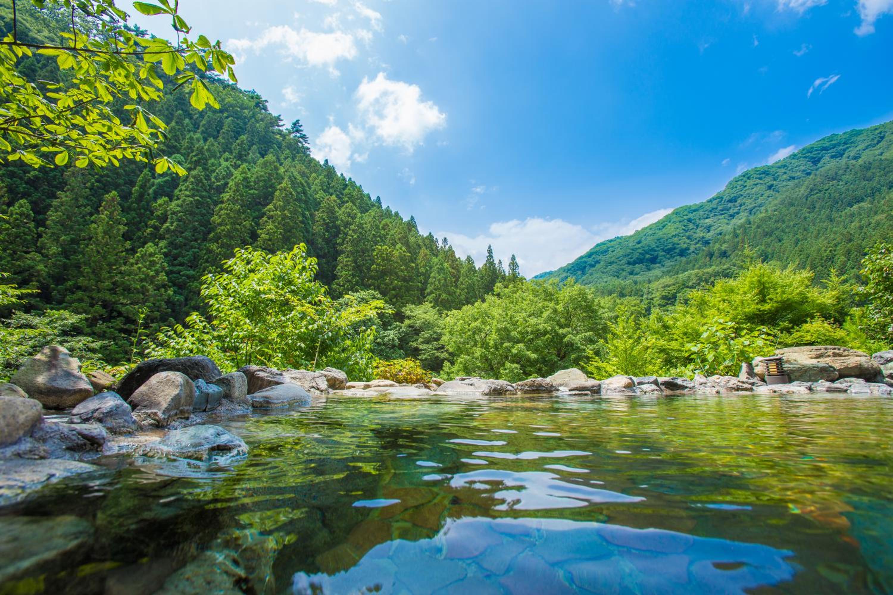 Japanese Western, Mountain View, Outdoor Bath