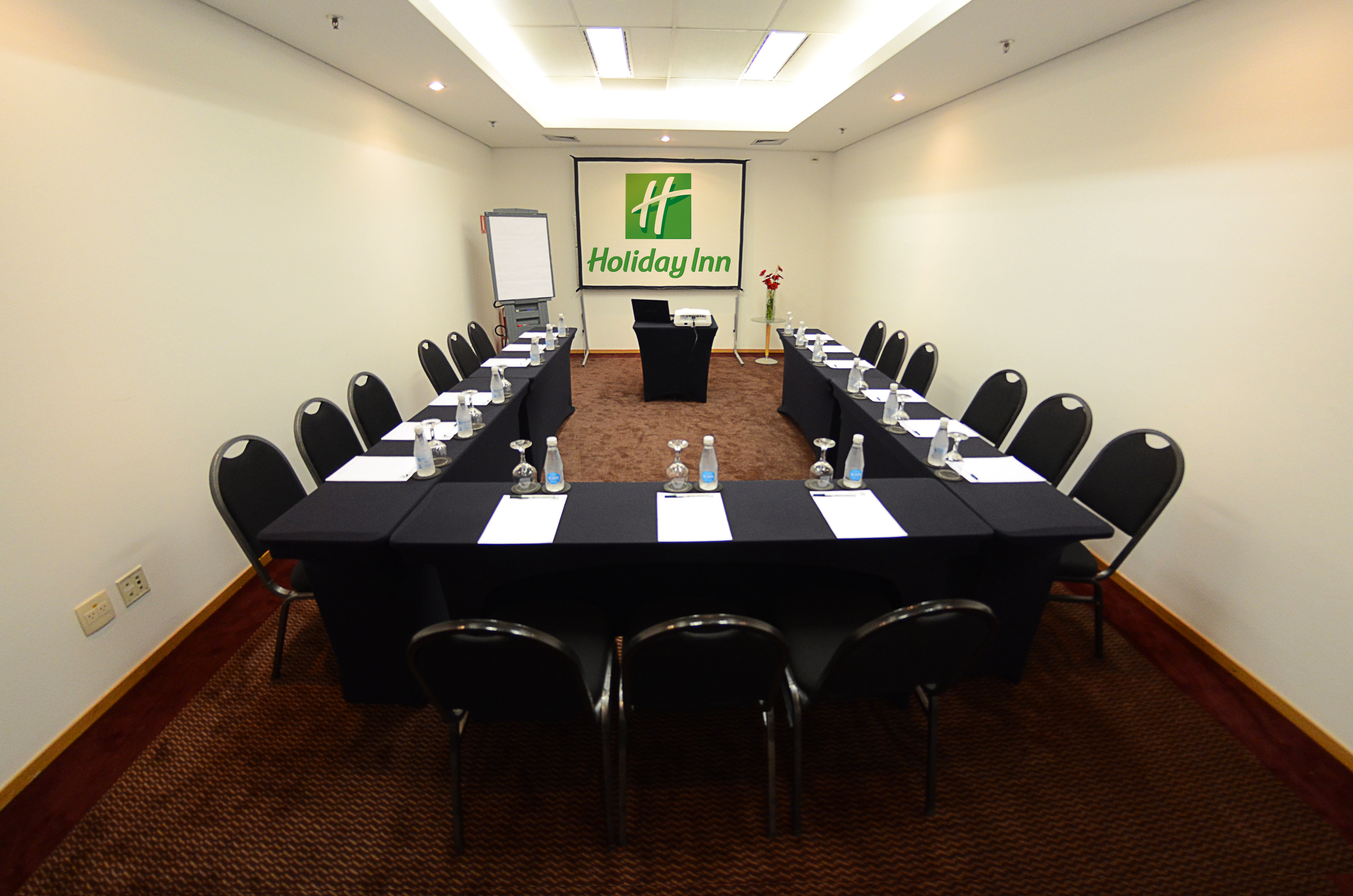 Holiday Inn Sao Paulo Parque Anhembi 65/79