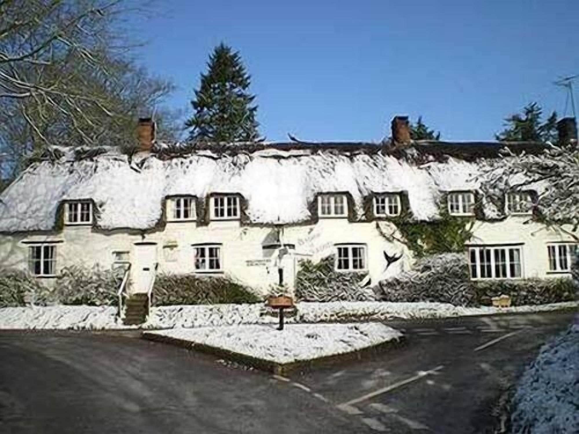 The Brace of Pheasants - Inn 2/33