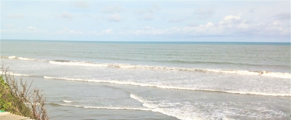 Rising Phoenix Magic Beach Resort 19/32