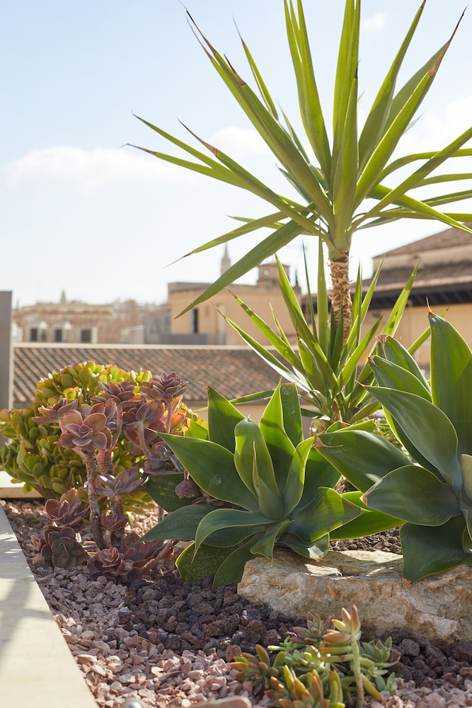 Palma Riad 48/50