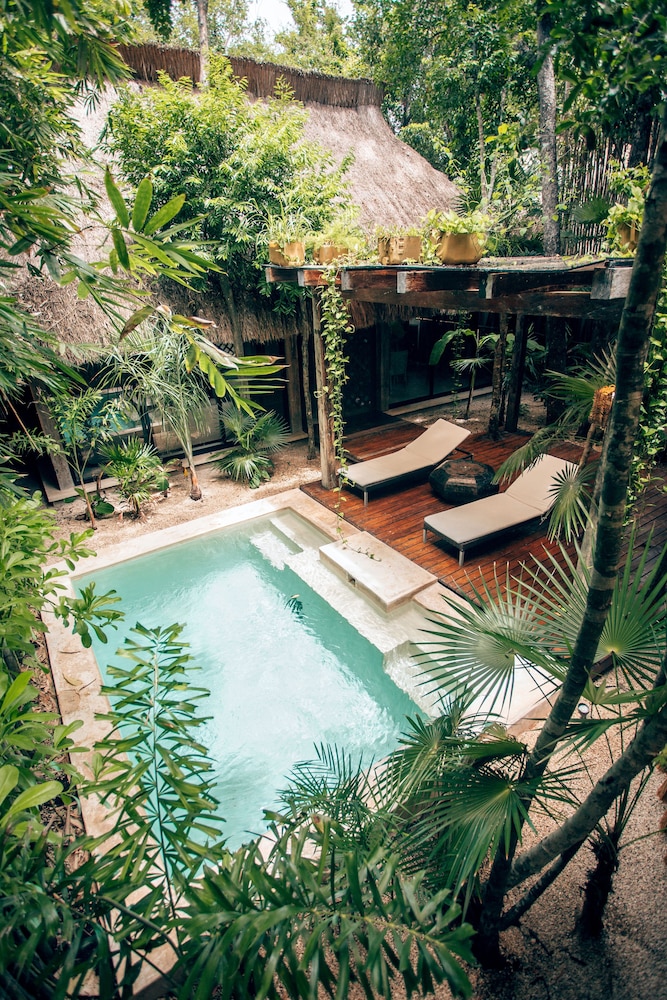 Orchid House Tulum 41/50