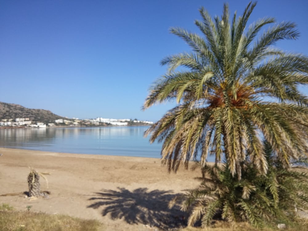 Stalis Beach hotel 14/23