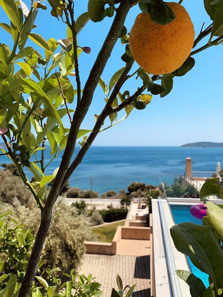 Golden King Villas Skiathos 49/60