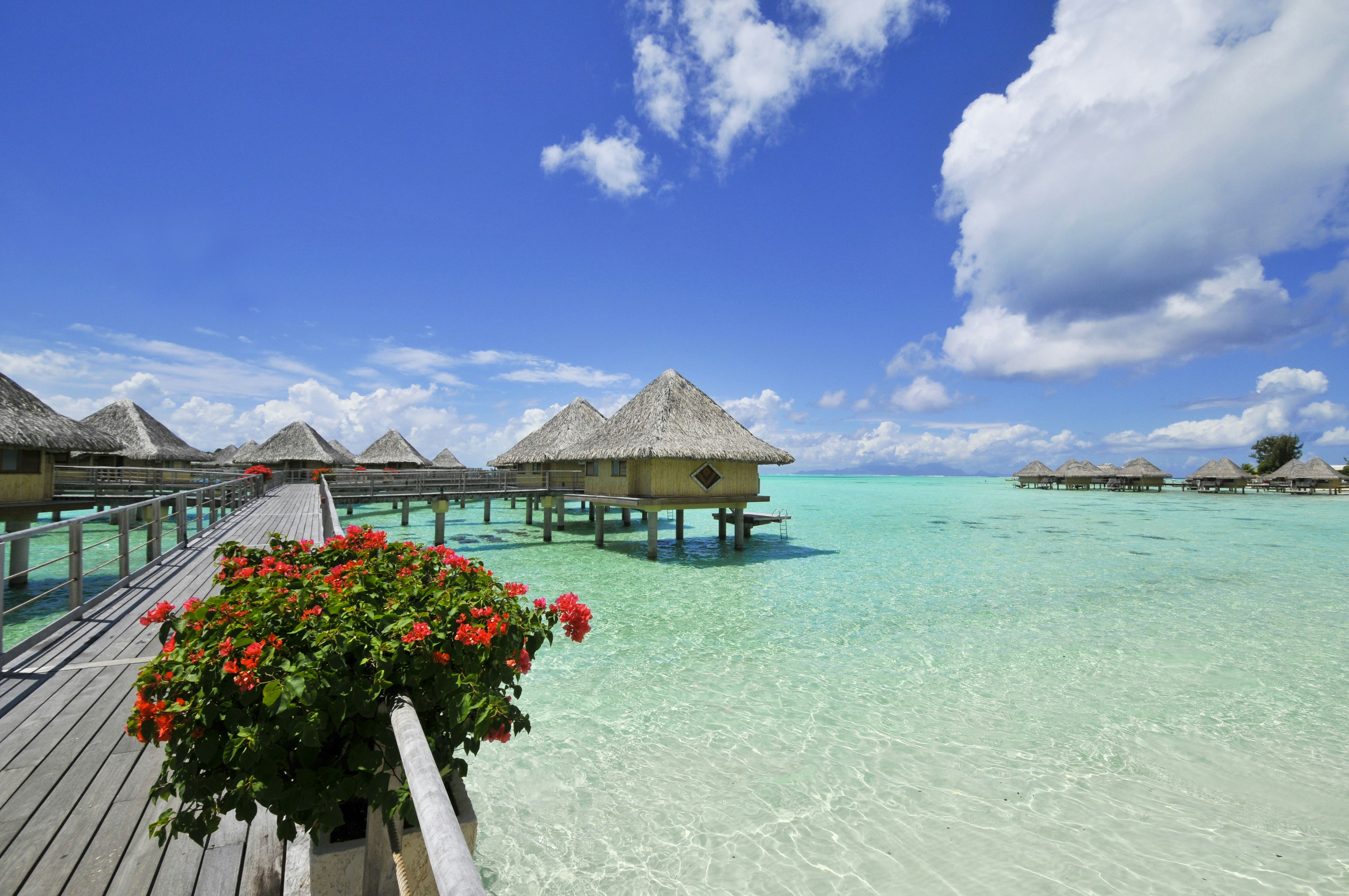 Intercontinental Bora Bora Le Moana Resort 68/81