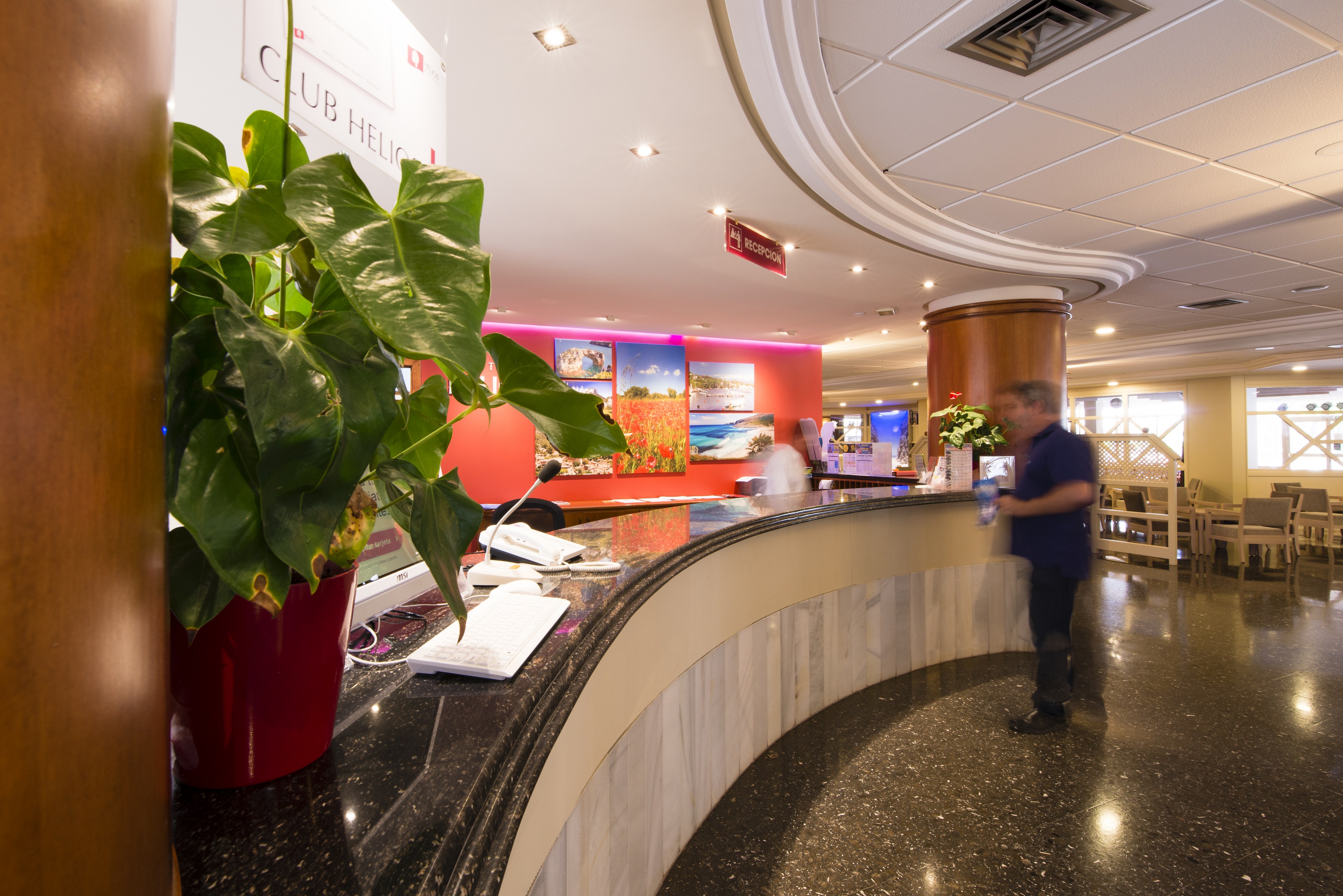 Hotel Helios Mallorca 6/50