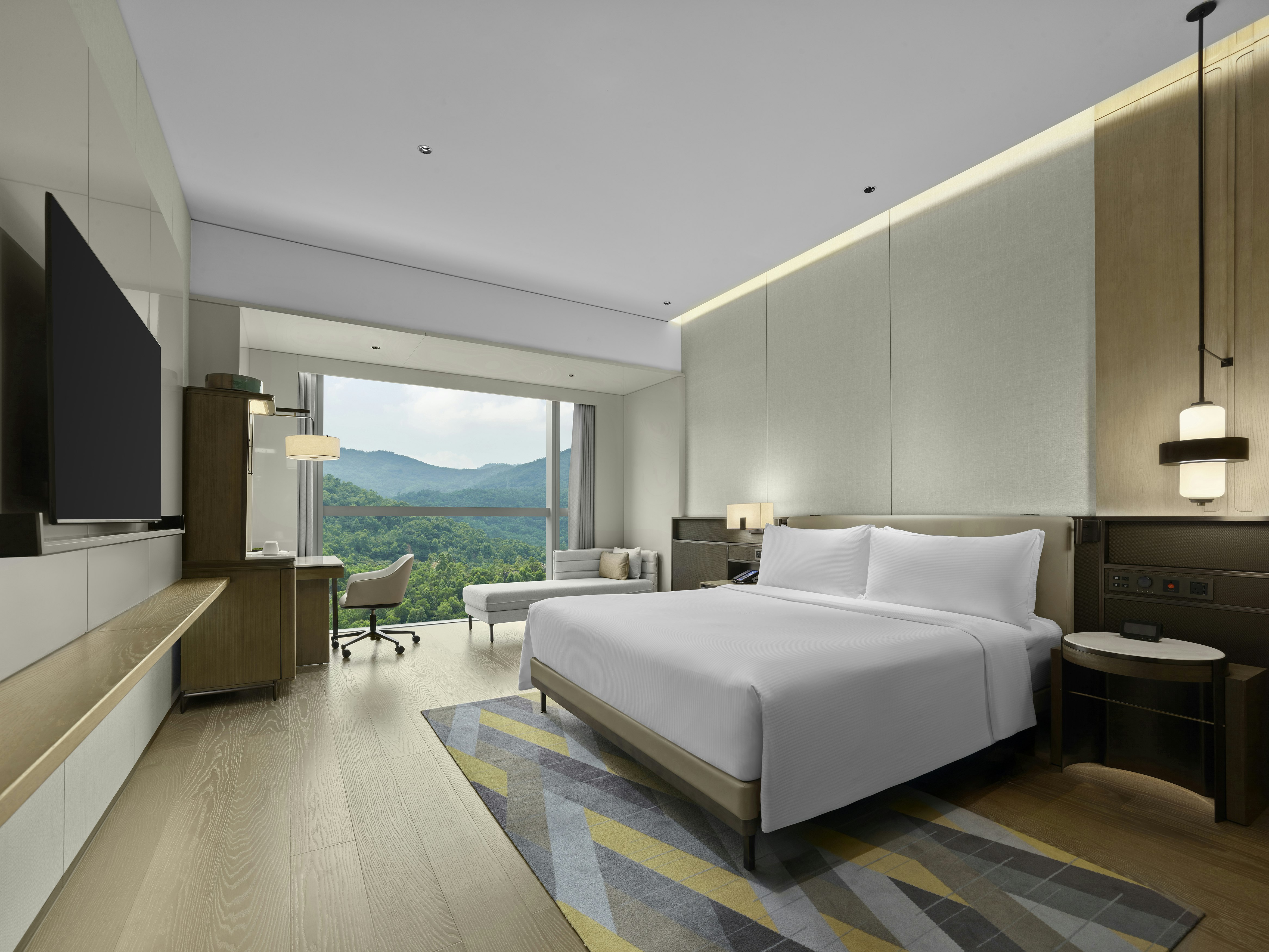 Room, King Bed, Accessible