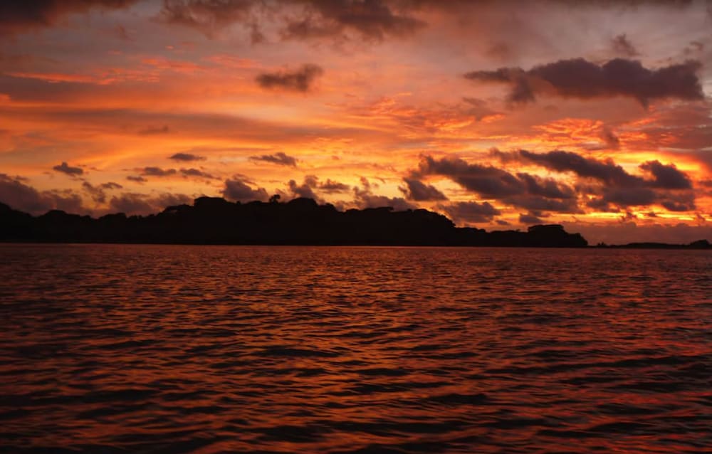 Isla Palenque Member of the Cayuga Collection 41/50