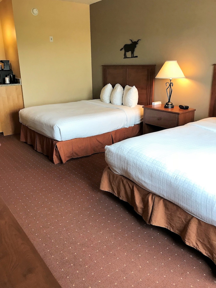 AmericInn by Wyndham Fargo Medical Center 11/59