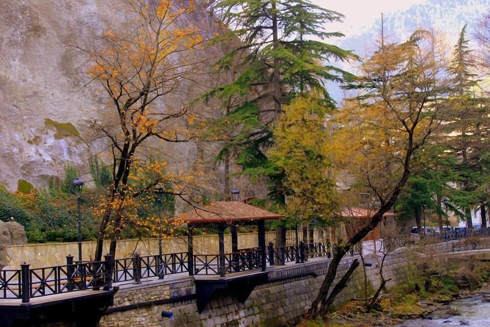 Borjomi Palace Hotel and Spa 42/50