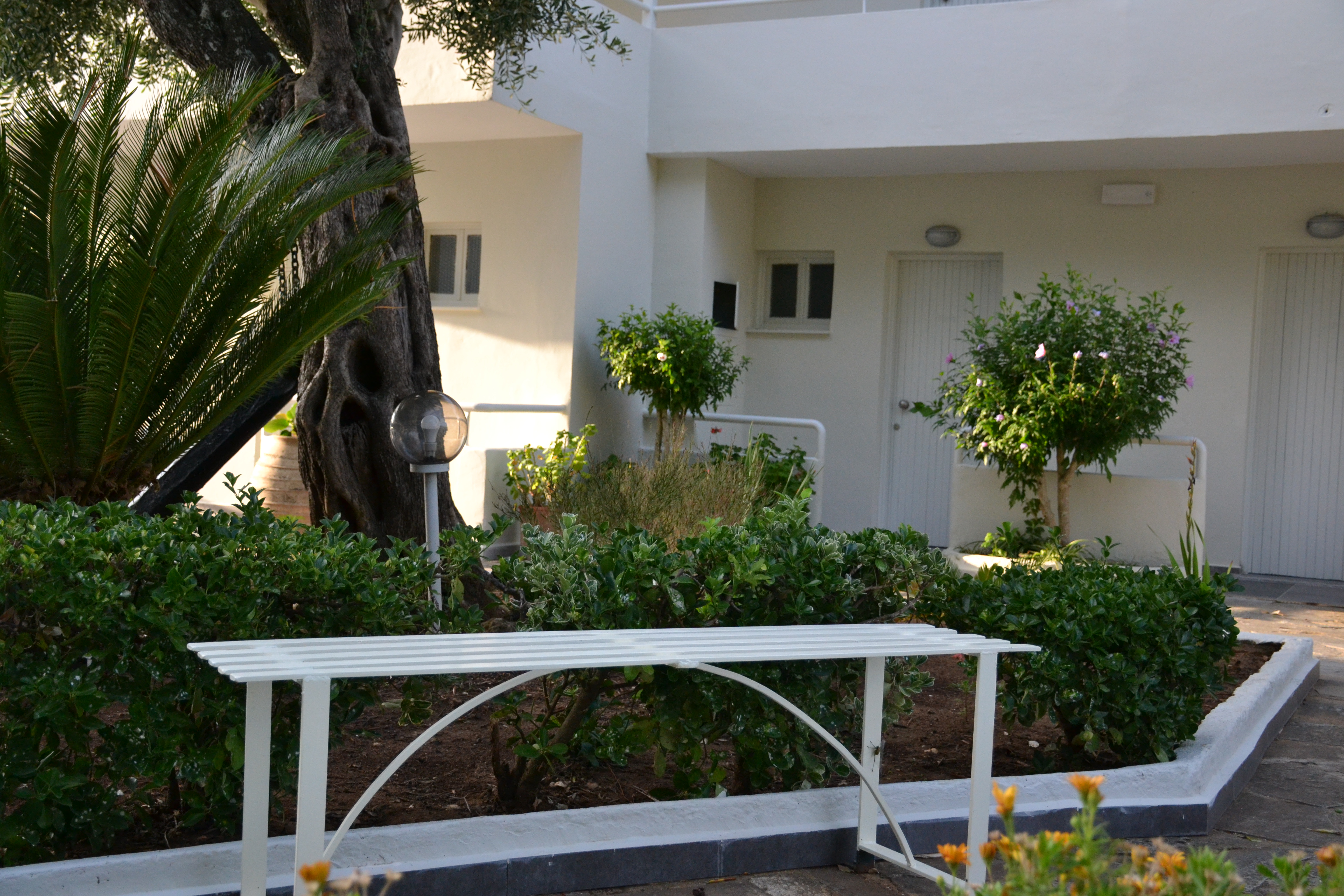 Dassia Holiday Club 25/30