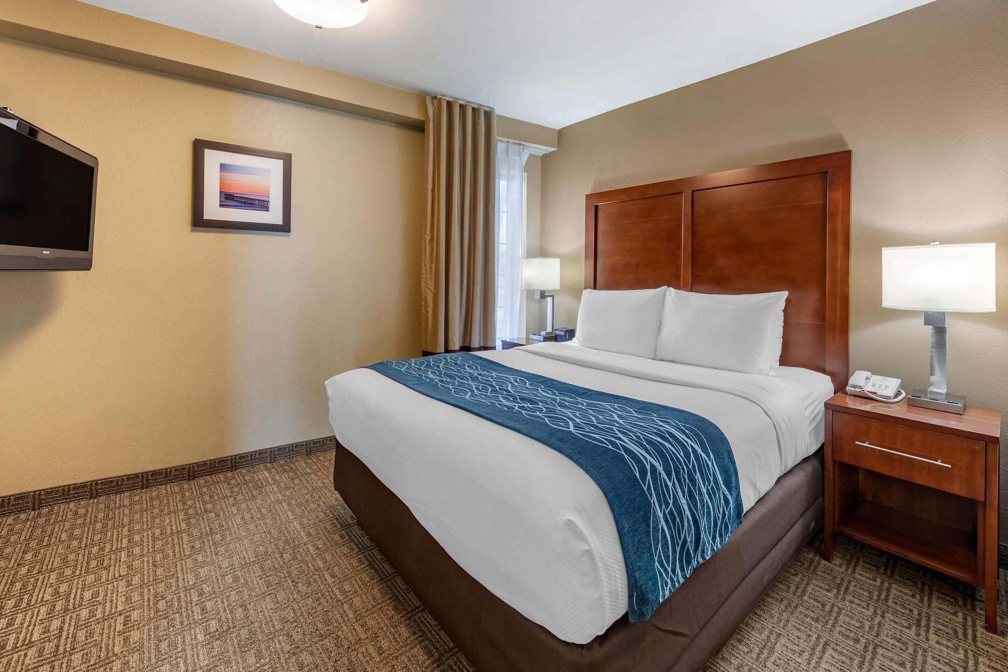 Studio, Suite, Multiple Beds