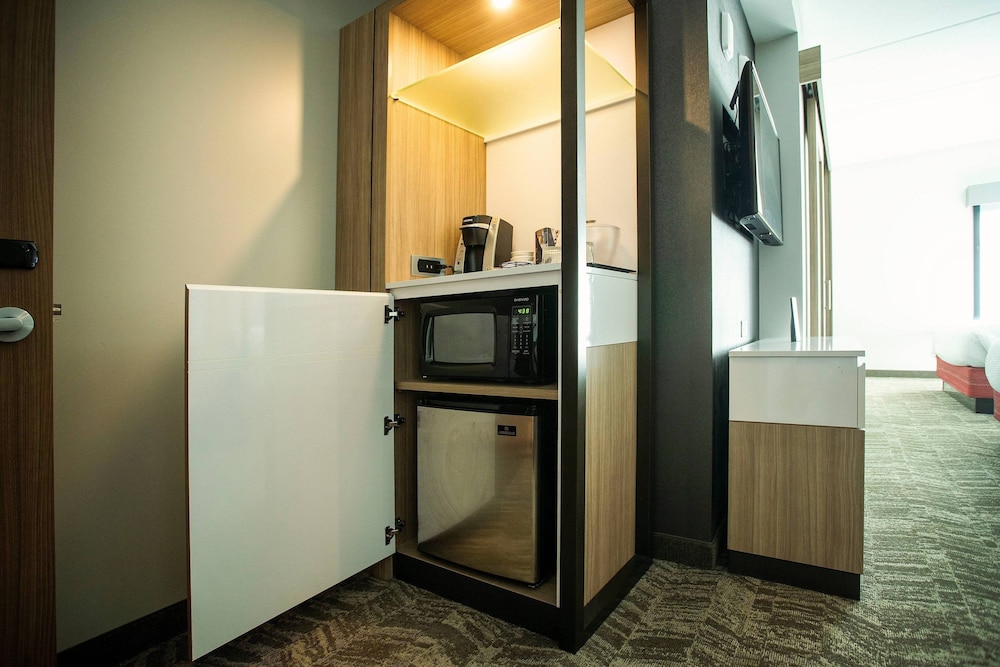 SpringHill Suites by Marriott Athens Downtown/University Area 10/41