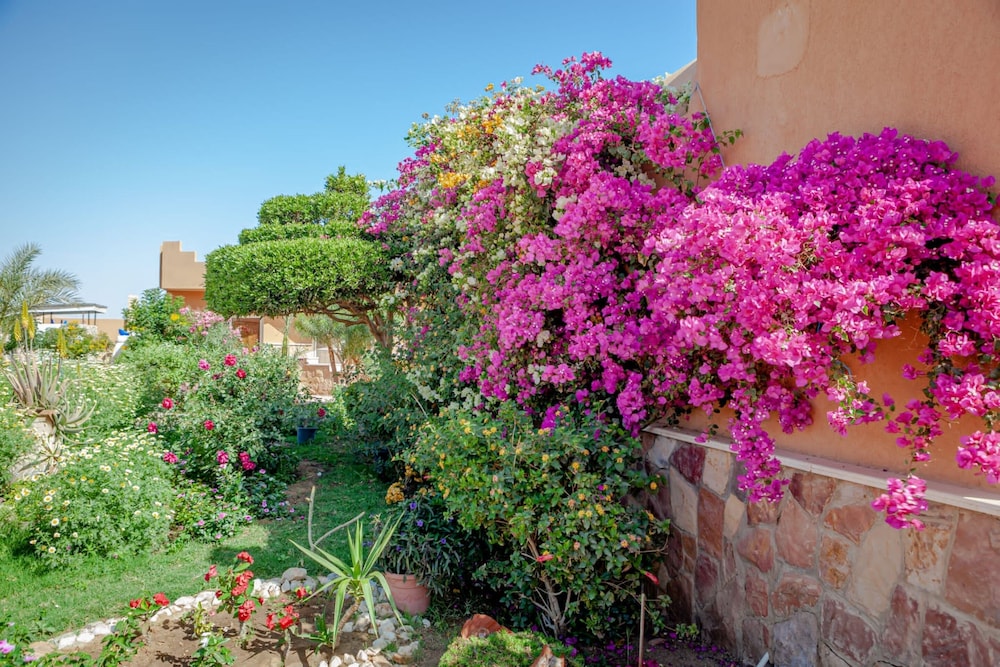Silver Beach Redsea Resort - Adults Only 40/50
