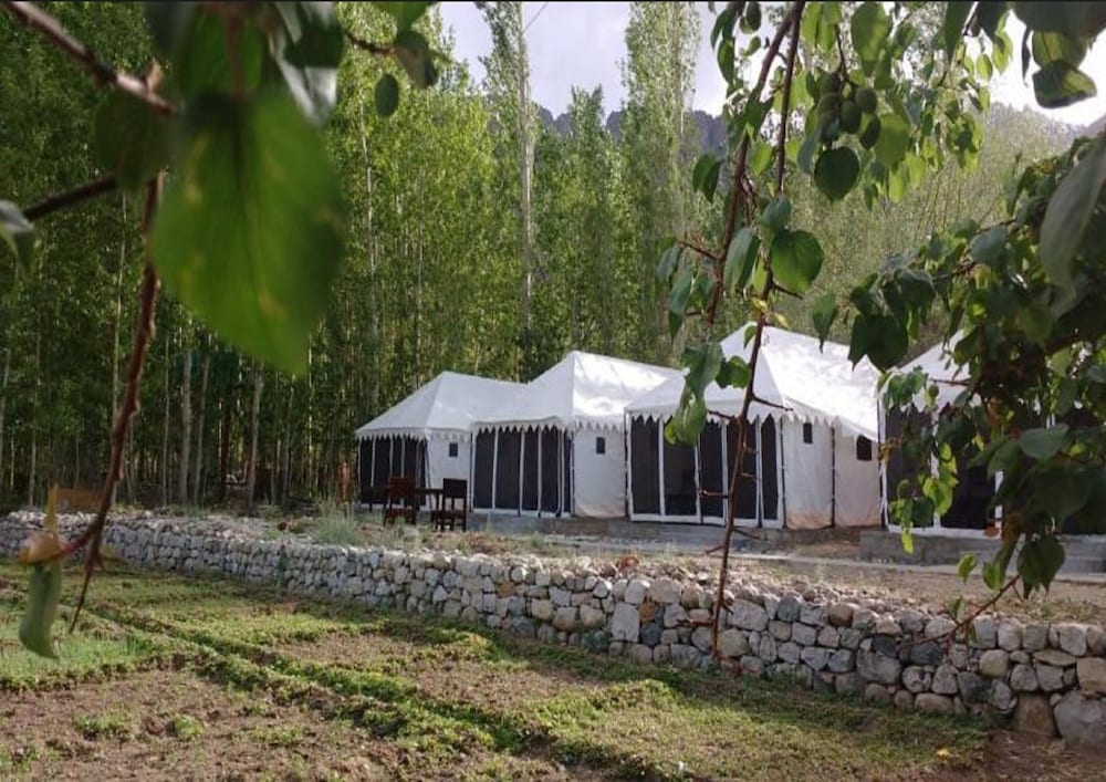 Ladakh Tarrain Camp 16/24
