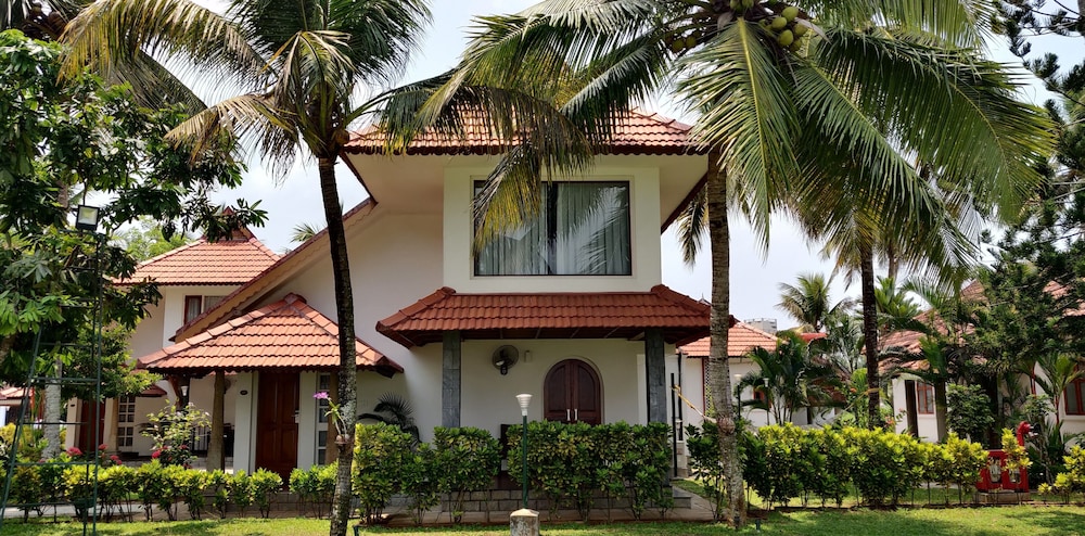 Backwater Ripples in KOTTAYAM