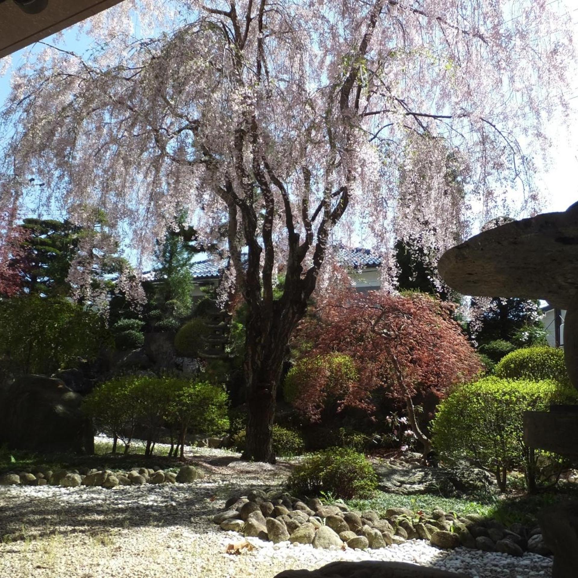 Hotel Nakamuraya 23/28
