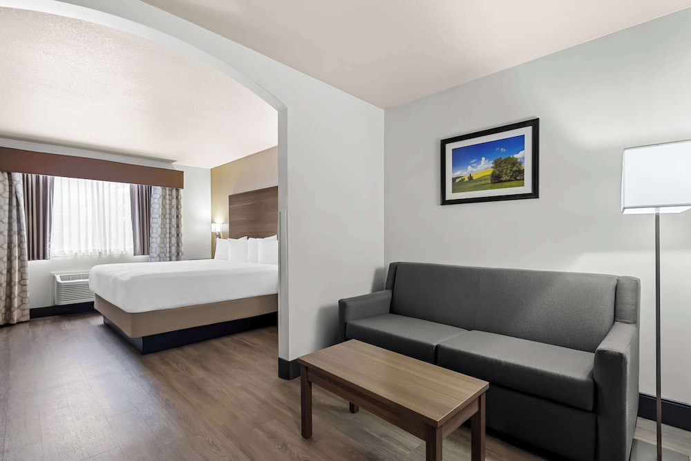 Suite, King Bed, Large, Accessible