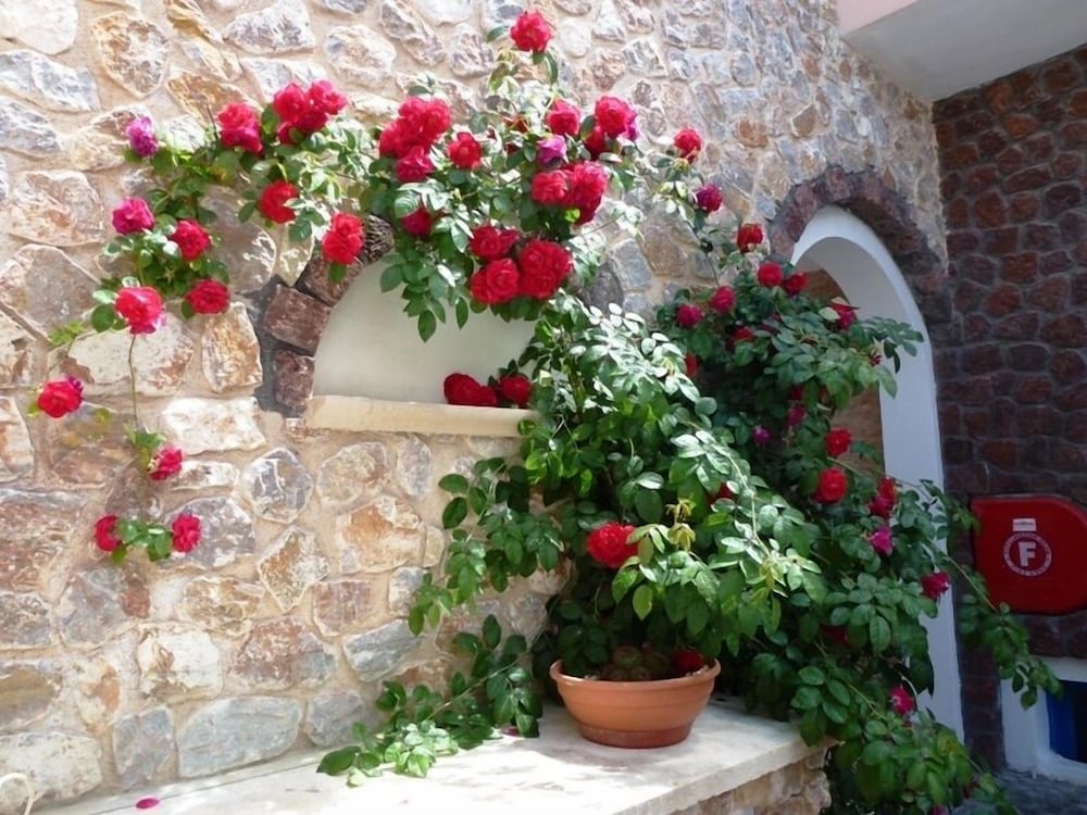 Atalos Suites 10/50