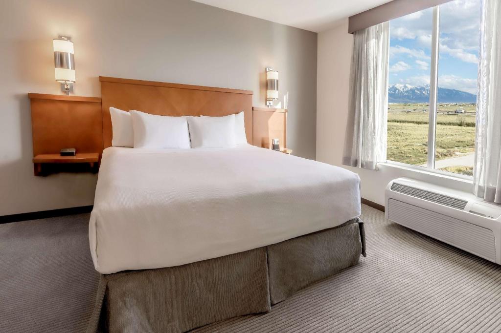 Room, King Bed, Sofa, Bathtub, Accessible