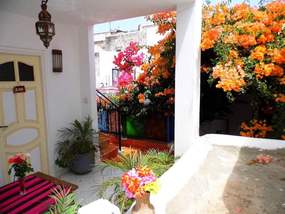 Riad Marlinea 11/50
