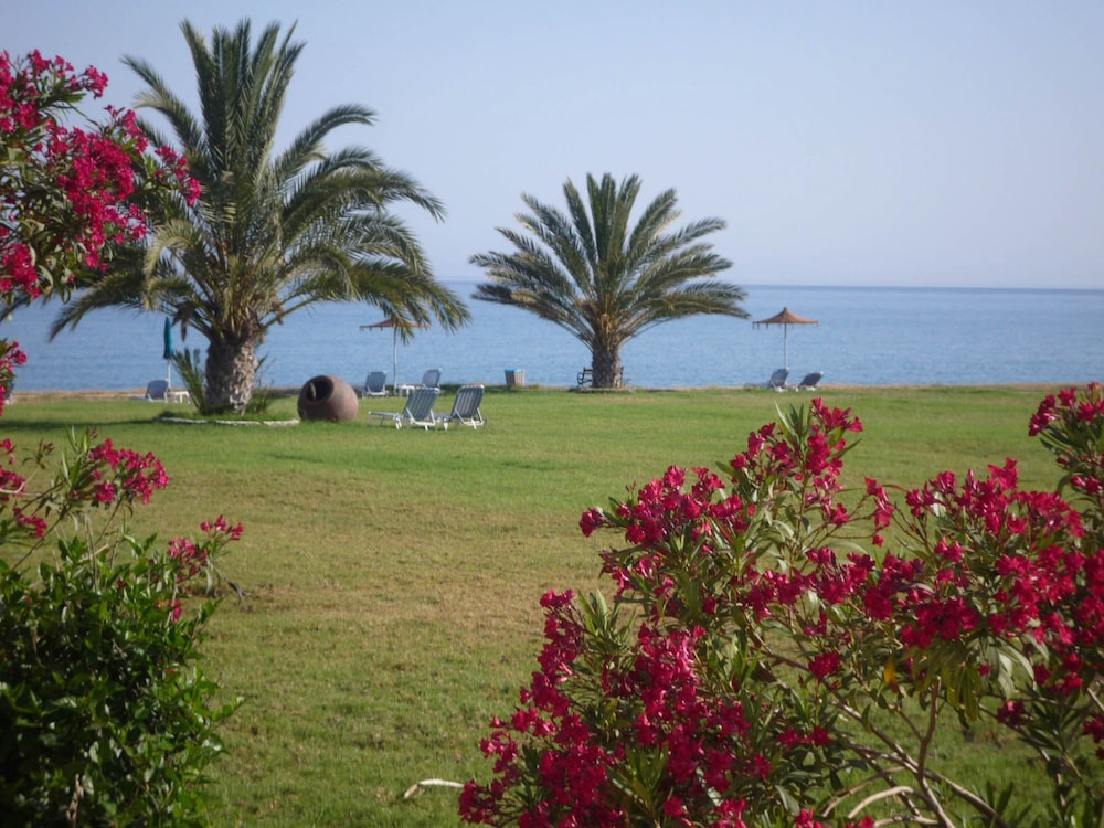 Natura Beach 33/50