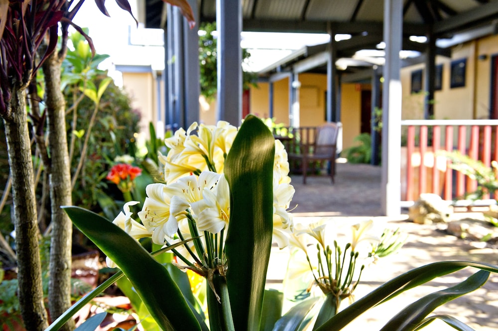 Vintages Accommodation 59/66