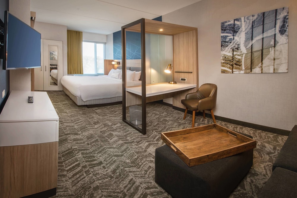 Hotel Springhill Suites By Marriott Gainesville Haymarket 16/34