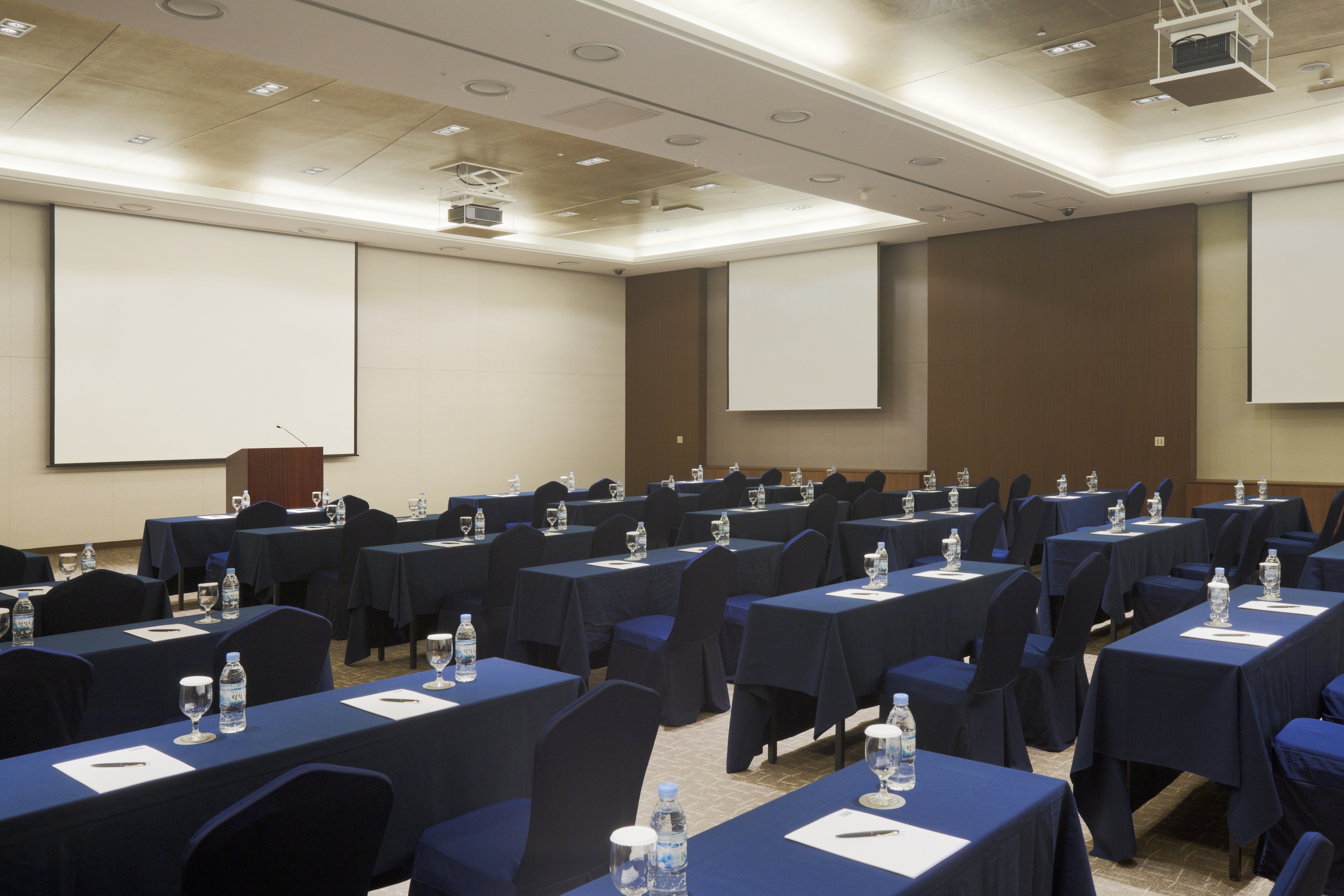 Holiday Inn Resort Alpensia Pyeongchang 53/73