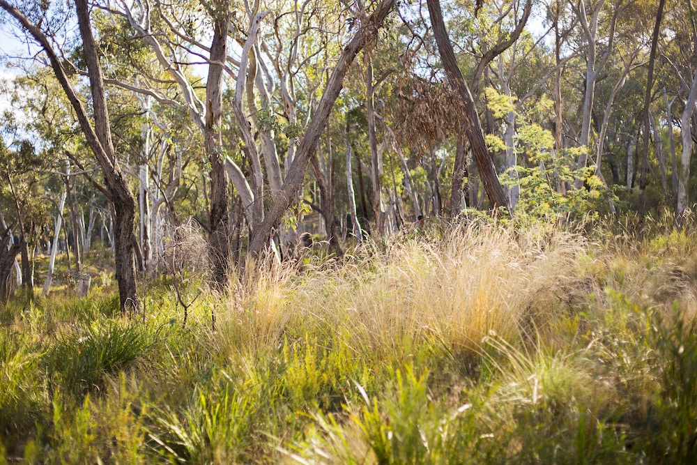 Alivio Tourist Park Canberra 54/63