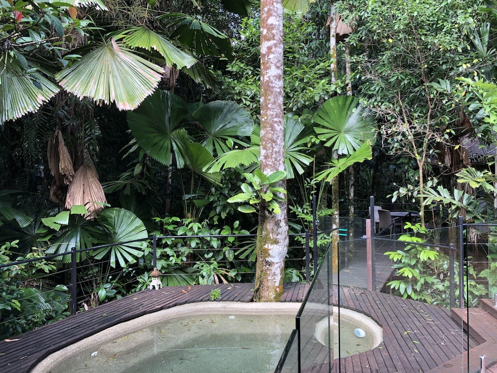 Daintree Wilderness Lodge 27/34