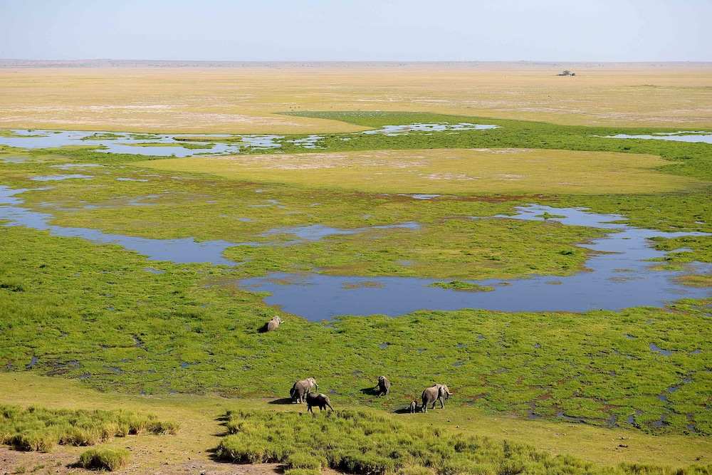 Amboseli Serena Safari Lodge 74/81