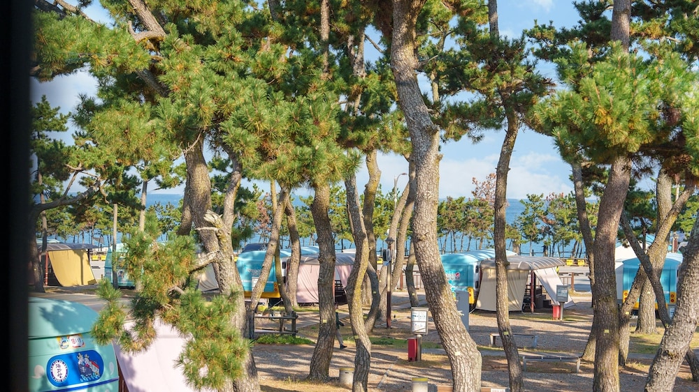 Gyeongju Gampo Beach Castle Pension 43/50