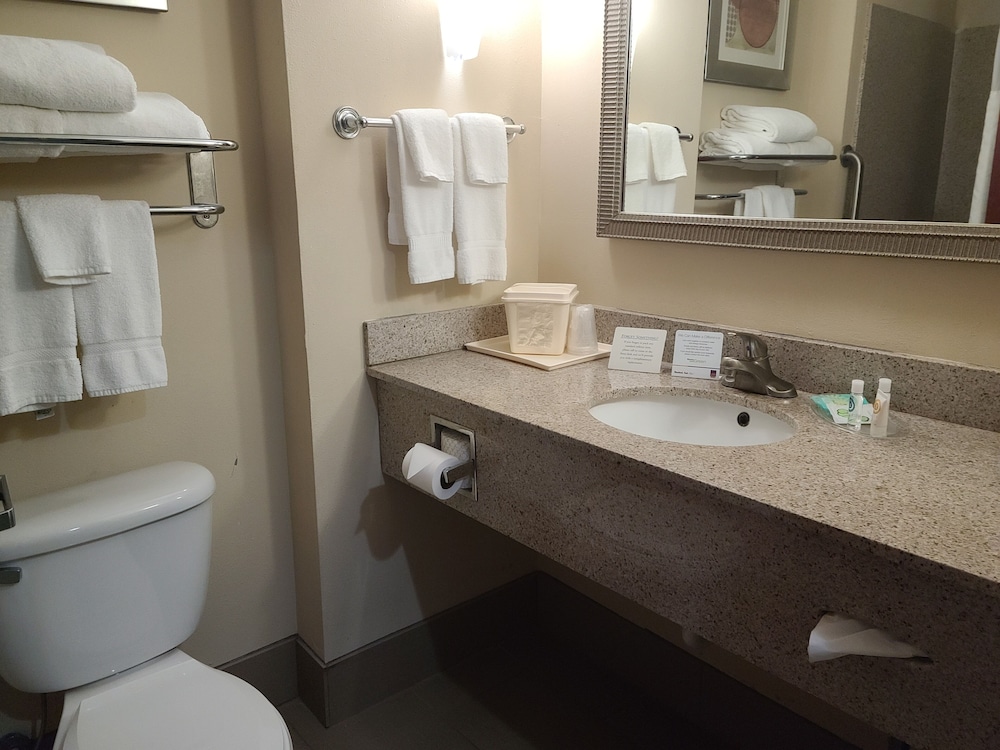 Comfort Suites Forsyth Near I-75 14/49