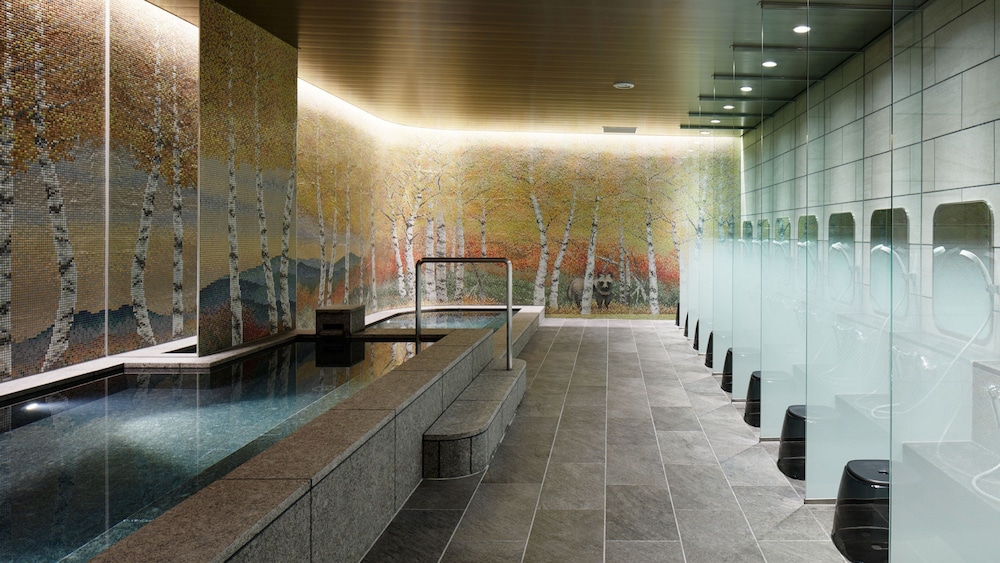 Holiday Inn & Suites Sapporo Odori Park 35/57