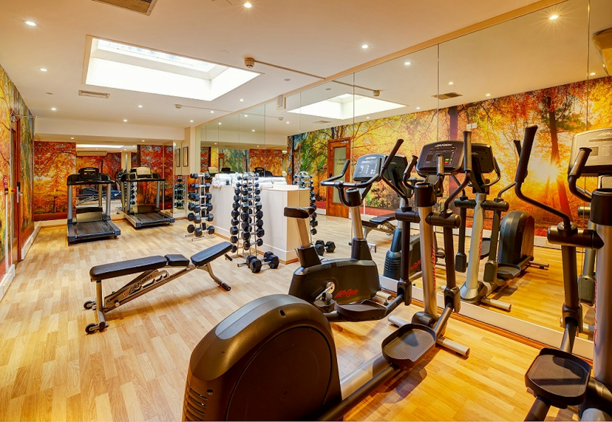 Copthorne Tara Hotel London Kensington 37/65
