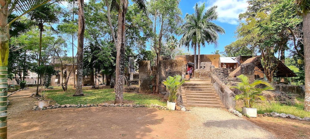 Jungle Paradise Beach Resort & Spa Mbweni Ruins 27/50