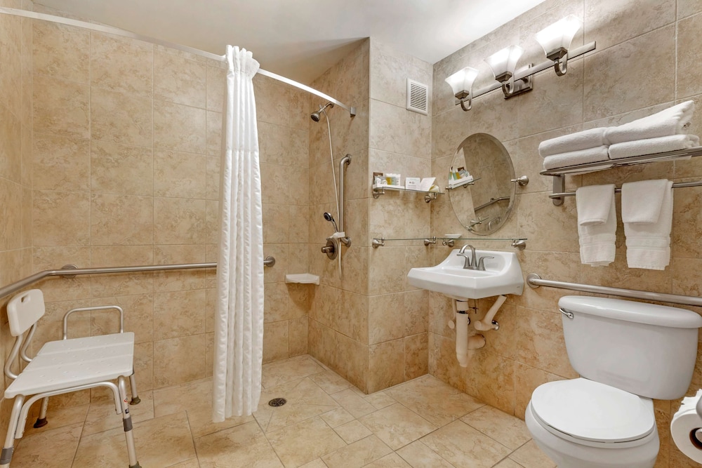 Best Western Plus Swiss Chalet Hotel & Suites 19/40