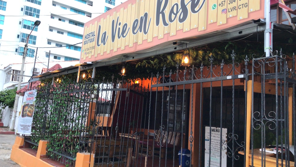 La Vie en Rose CTG 1/25