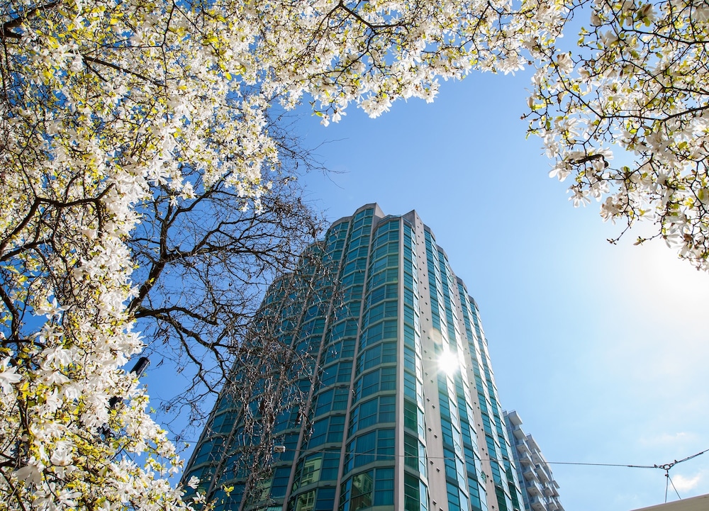 Rosedale On Robson Suite Hotel 7/45