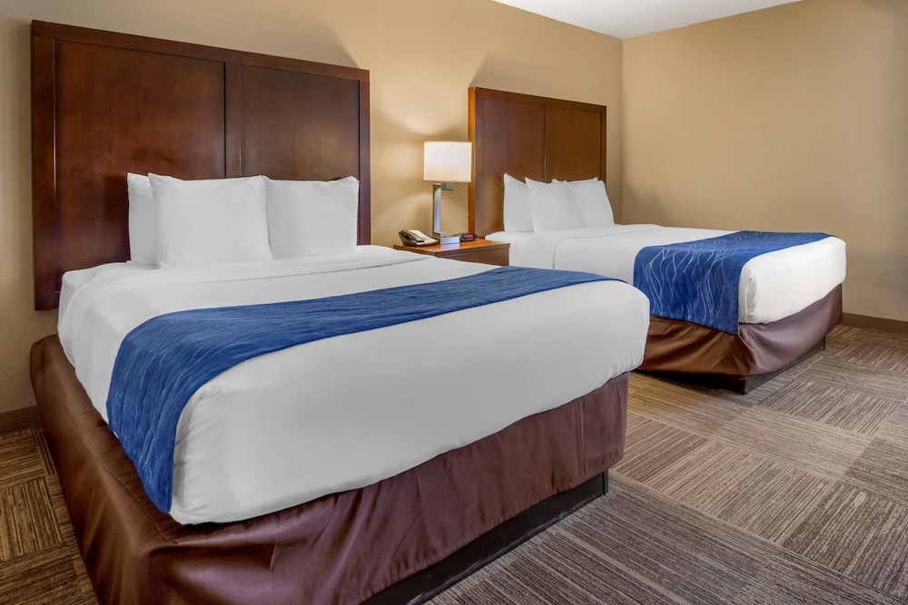 Comfort Inn & Suites Sea-Tac Airport 15/38