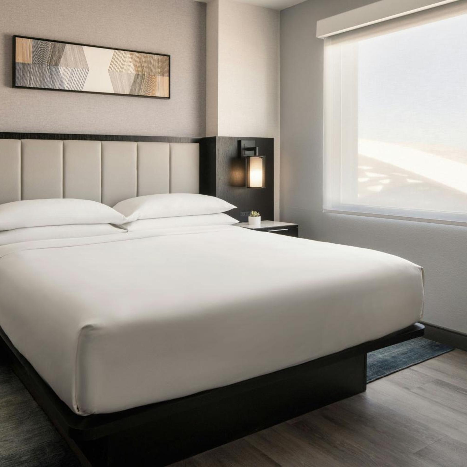 Room, King Bed, Sofa, Accessible
