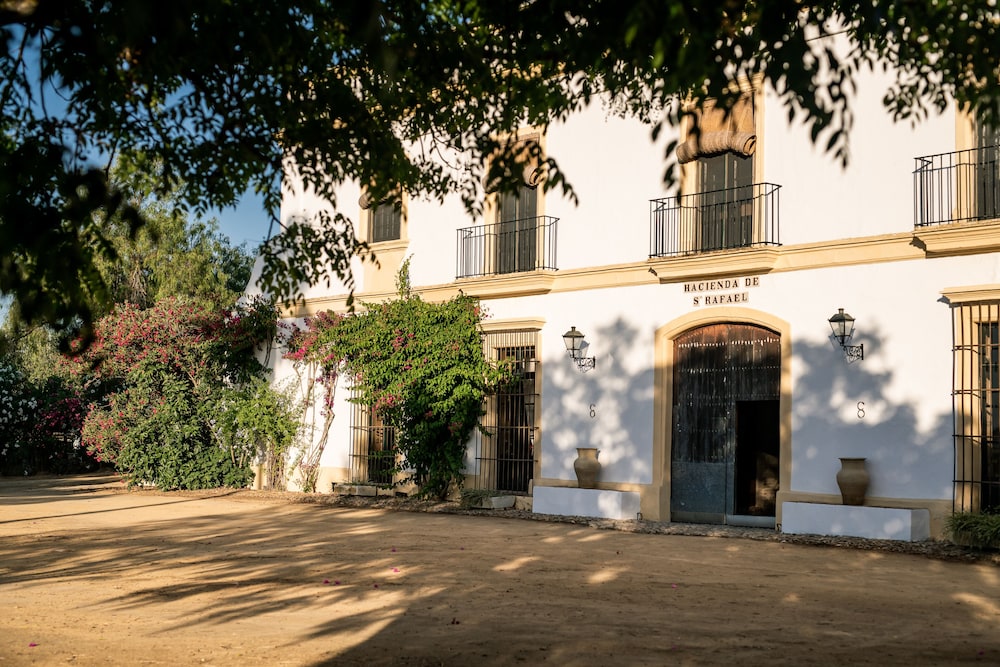 Hacienda de San Rafael 43/50