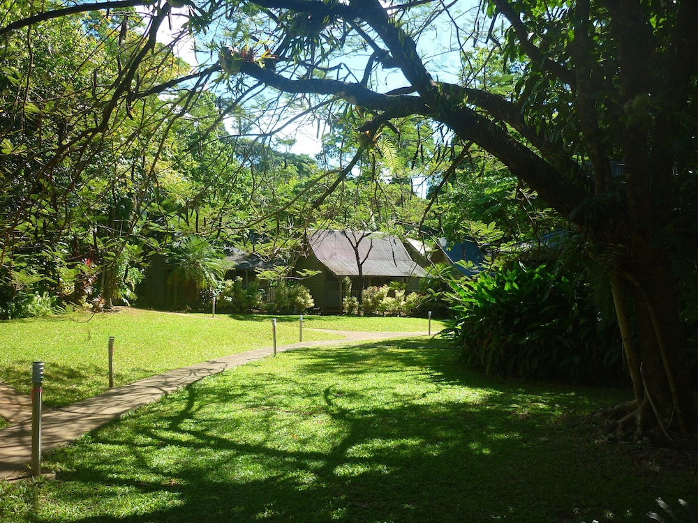 Ferntree Rainforest Lodge 33/46
