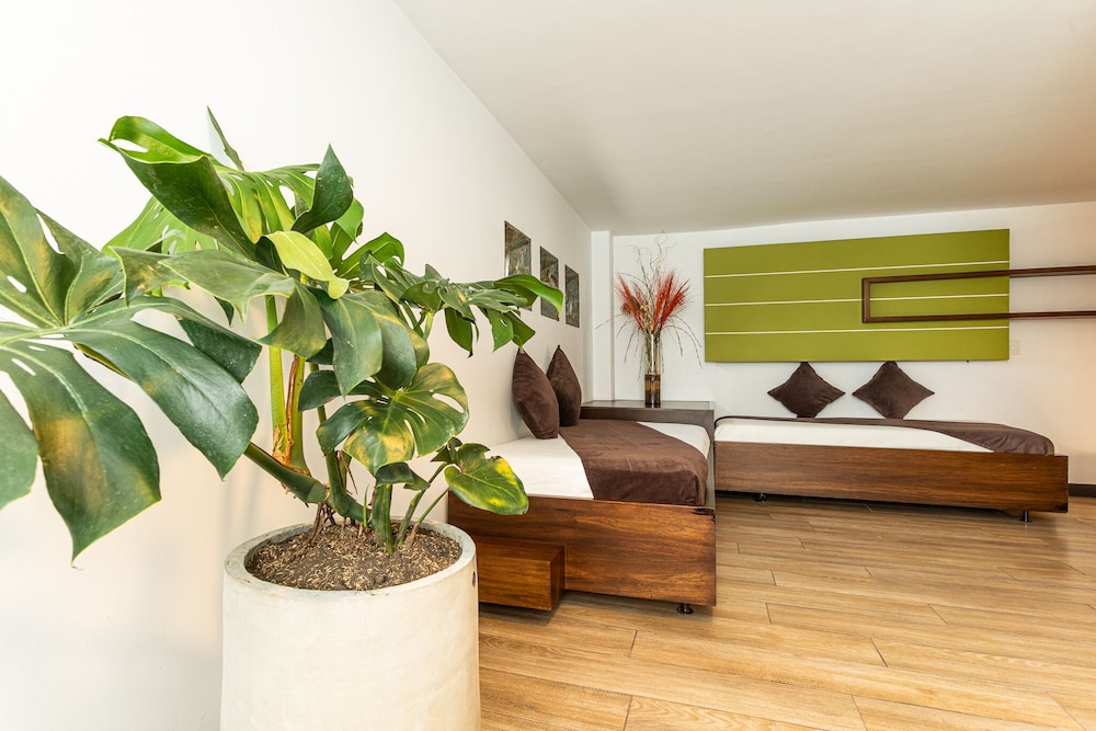 Hotel Carretero 52/66