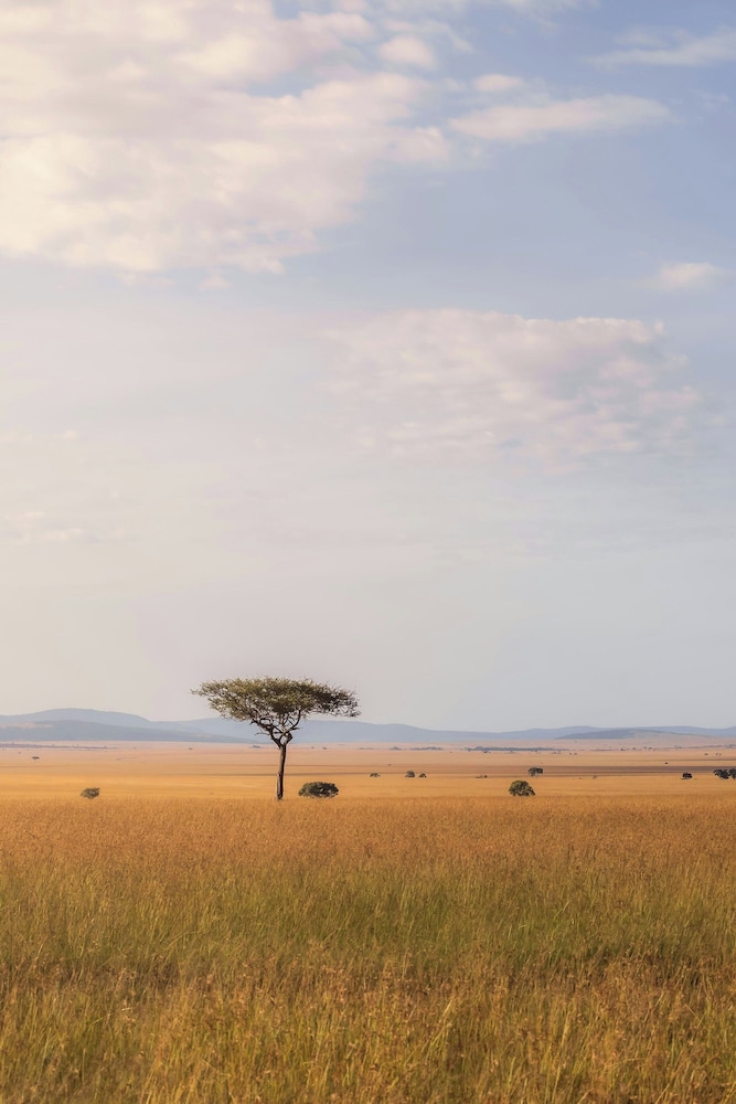 JW Marriott Masai Mara Lodge 41/48